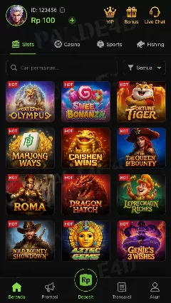 pakde4d Screenshot 1
